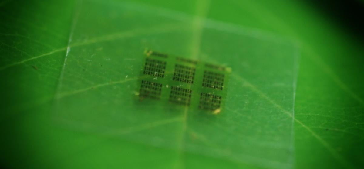 [Imagen: aa3a3b_chip-biodegradable-mit_news.jpg]
