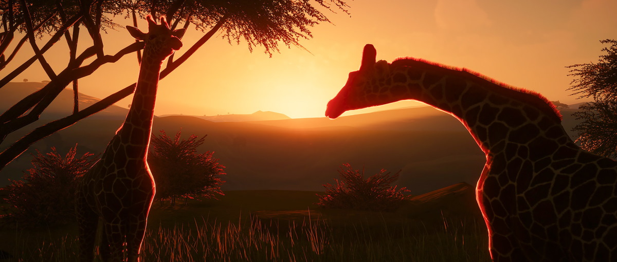 Zoo disponible para PC Steam